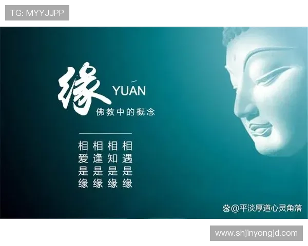 余多多不多余：在追寻自我与爱情的路上她如何找到平衡与真谛