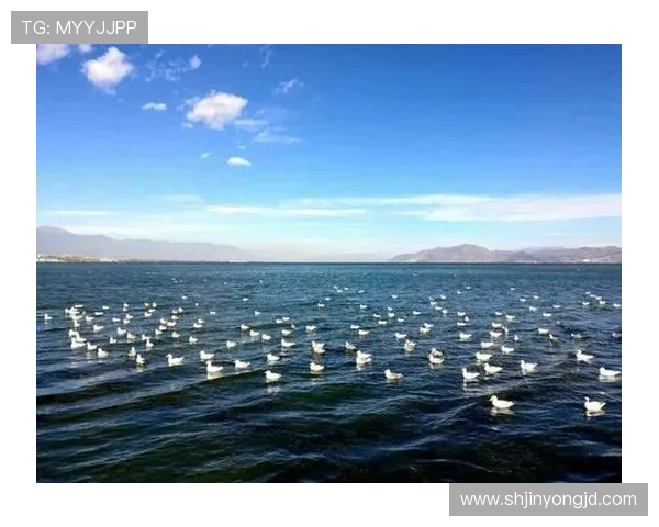 踏浪寻梦,梦幻岛:开启一场涤荡心灵的奇遇